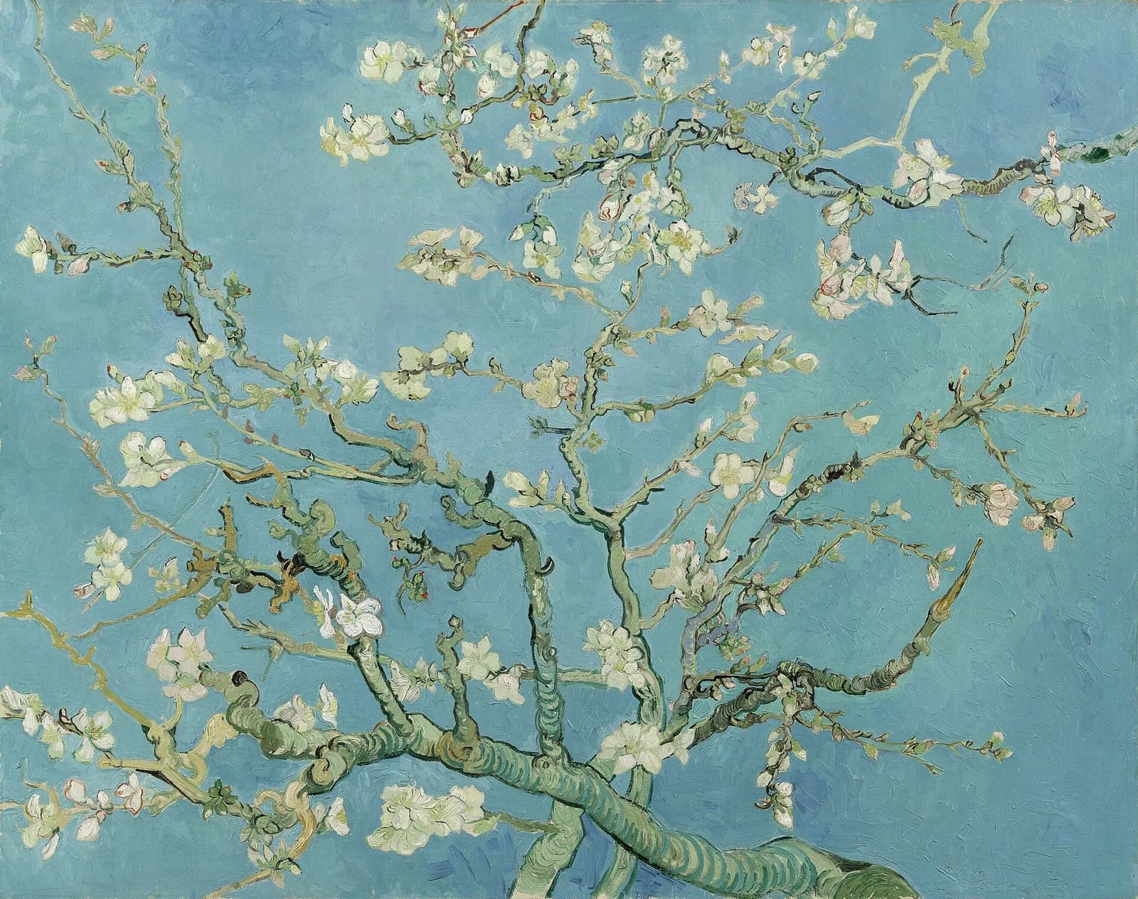 Almond Blossom Branch Morning Blooming - Abstract wall art