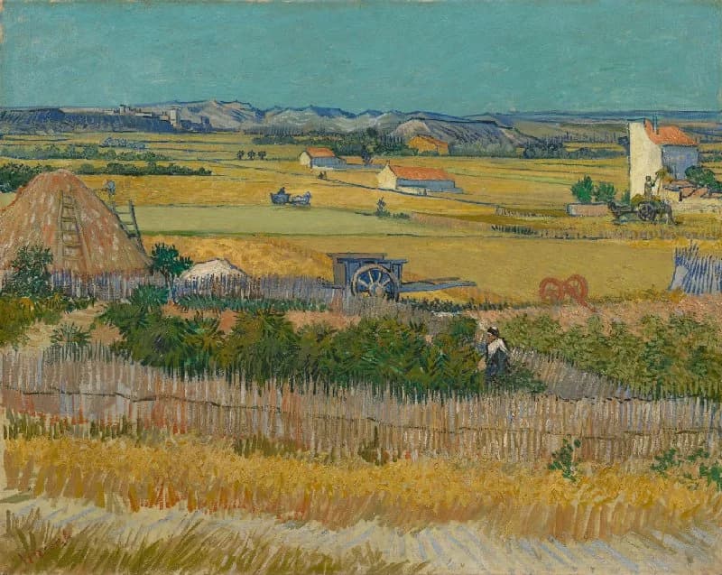 French Countryside Harvest Fields - Wall Art by Fir Gallery - Abstract wall art