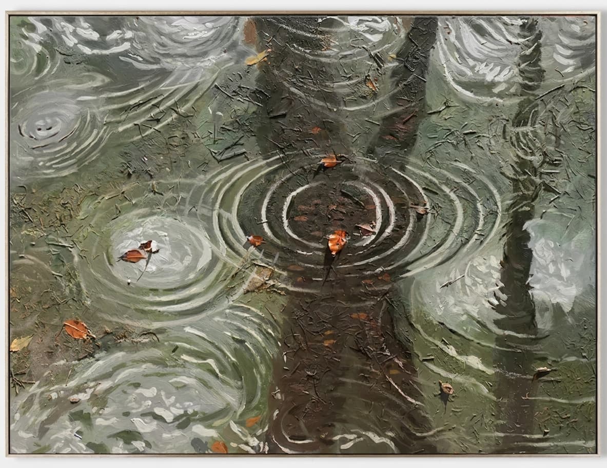 Rain Ripples Water Reflection